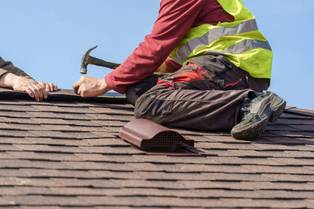 Best Roof Maintenance Services  in Holton, KS
