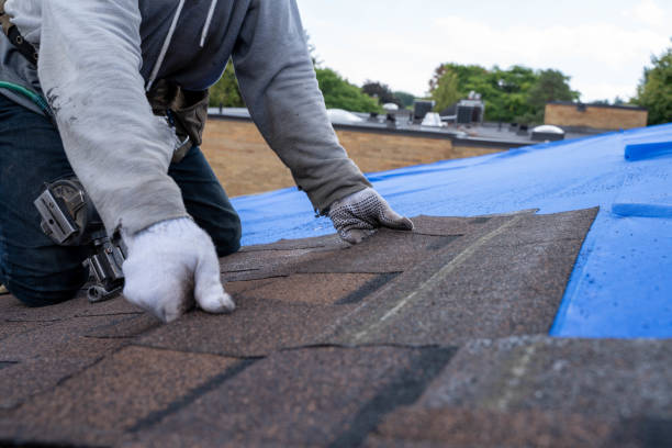 Best Roof Maintenance Services  in Holton, KS
