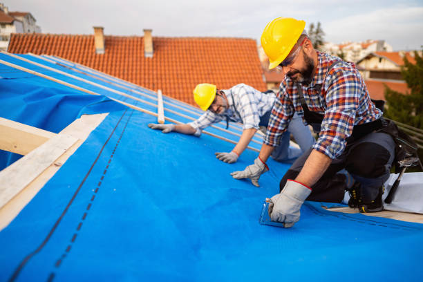 Roof Gutter Cleaning in Holton, KS