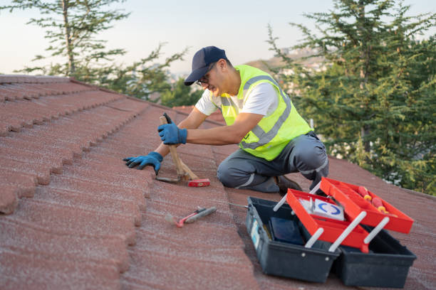 Best Roof Restoration Services  in Holton, KS