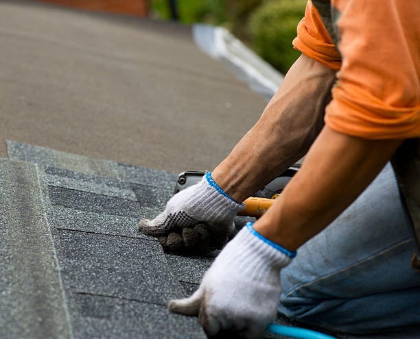 Best Shingle Roofing Installation  in Holton, KS