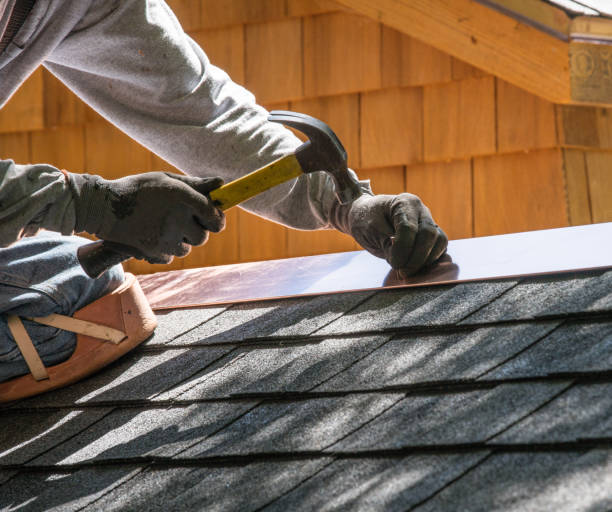 Best Flat Roof Repair Services  in Holton, KS
